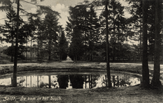 16315 Gezicht op de ronde vijver met naaldbomen bij het Groene Bergje in het Zeister Bosch te Zeist.